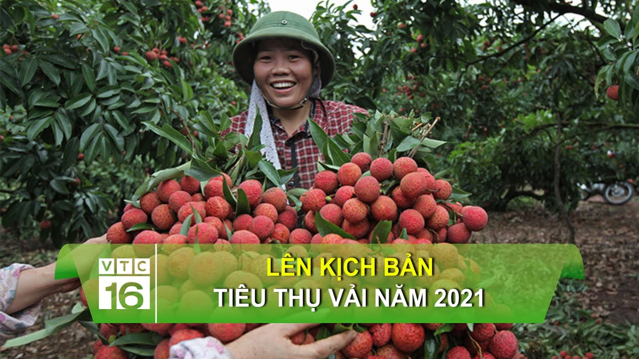 Làm Video Ngắn – Vừa Sáng Tạo, Vừa Kiếm Tiền Với Công Cụ Hữu Ích_Gói tiếp thị kỹ thuật số dịch vụ