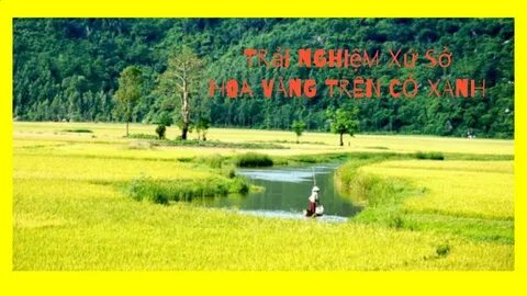 Vinamilk đồng hành cùng Đại hội Cháu ngoan Bác Hồ lần thứ X
