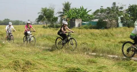 Công thức nước uống làm đẹp da, khỏe người và giảm cân trong mùa hè